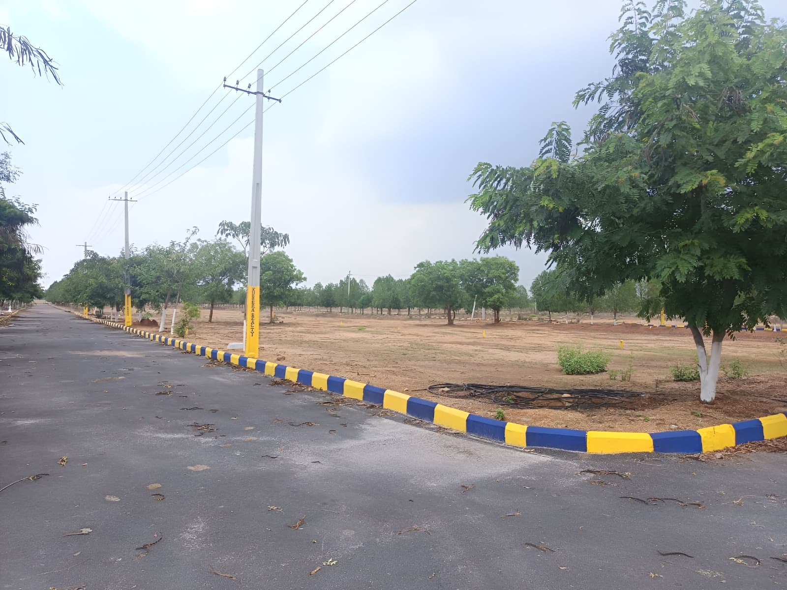 JRR Royal Imperia site photograph